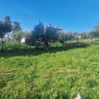 Terreno a Città Sant'Angelo (PE)