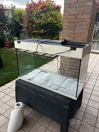 acquario