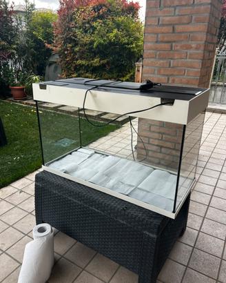acquario