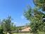 Immagine 25