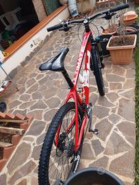 mountain bike