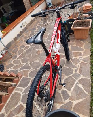 mountain bike
