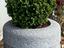 Immagine 28