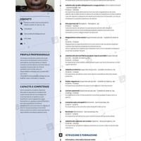 Magazziniere scaffalista ortofruttae altremansioni