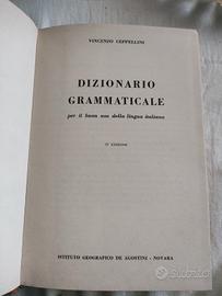 Dizionario Grammaticale 