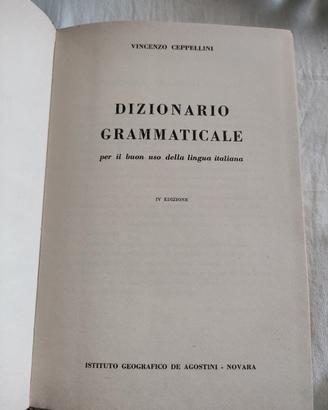 Dizionario Grammaticale 