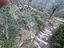 Immagine 26