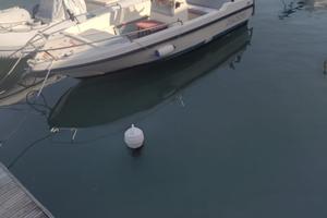Barca open sessa porto di Trani