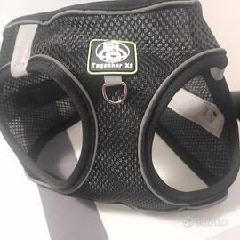 pettorina nera taglia M per cani piccola taglia