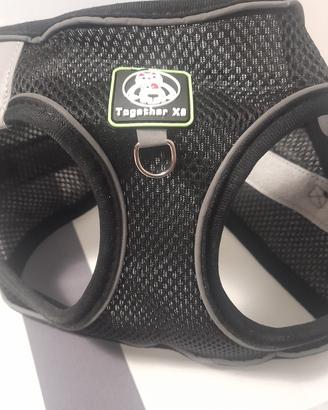 pettorina nera taglia M per cani piccola taglia