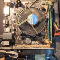scheda madre Asus h81