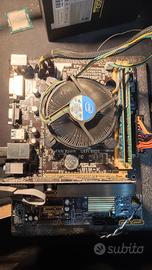 scheda madre Asus h81