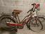 Immagine 1