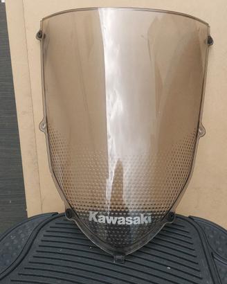 Kawasaki ninja