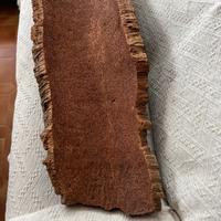 Corteccia di Sughero della Sardegna