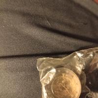 moneta olografica natura 