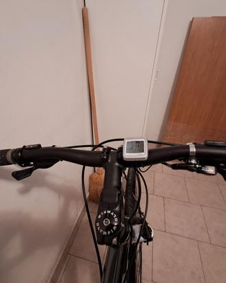 city bike Olympia
