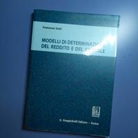 Modelli di determinazione reddito e capitale