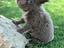 Immagine 5