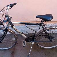 coppia bici Galant