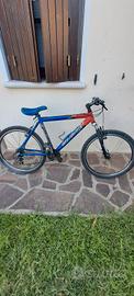 bicicletta 