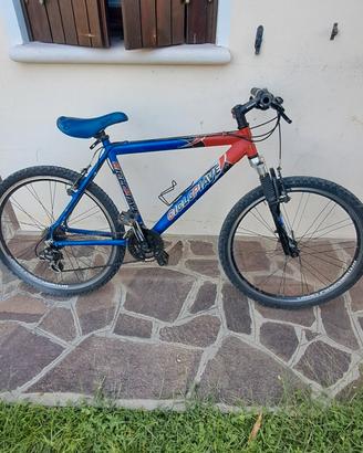bicicletta 