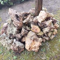 Pietre da Giardino