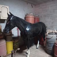 Cavallo dimensioni naturali