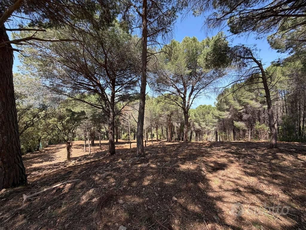 Terreno di 9250 m² a Cefalù - Vista 2