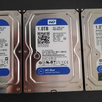 HD WD Western Digital Blue 1TB --- KIT DA 3 PEZZI
