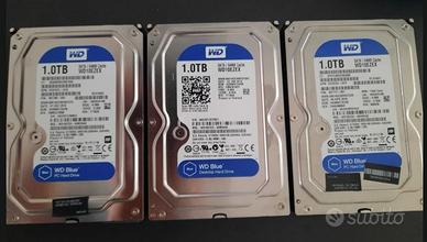 HD WD Western Digital Blue 1TB --- KIT DA 3 PEZZI