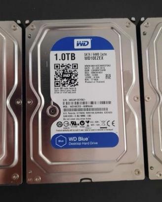 HD WD Western Digital Blue 1TB --- KIT DA 3 PEZZI