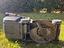 Immagine 5