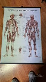 Stampe per studio professionale o medico