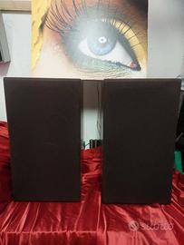 casse acustiche Steiner zr 250