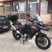 Trk 502 X 2018