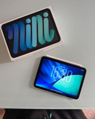 iPad Mini 6 WiFi+Cellular