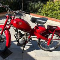 Motom Altro modello - 1967