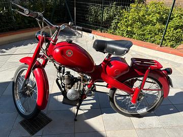 Motom Altro modello - 1967