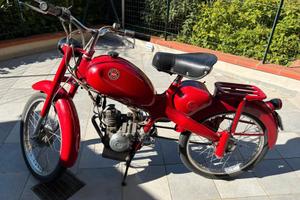 Motom Altro modello - 1967