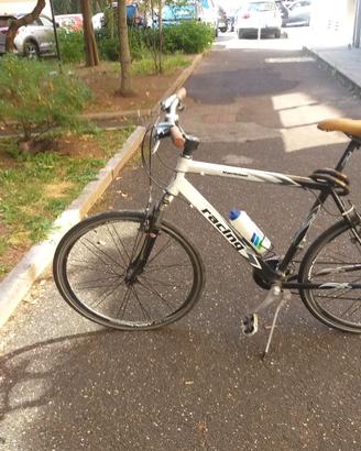 Bicicletta Uomo 
