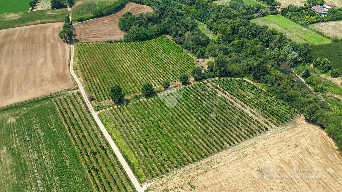 TER. AGRICOLO A CALVAGESE DELLA RIVIERA - Vista 2