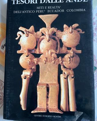 Libro tesori dalle ande