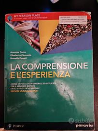 La comprensione e l'esperienza. Corso di psicologi