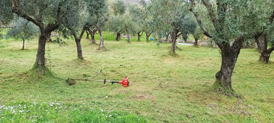 proprietà immersa nel verde dei monti lepini - Vista 3
