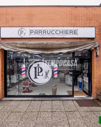 Pavia / Centro