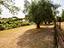 Immagine 23