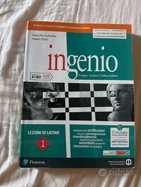 Ingenio 1