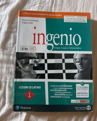 Ingenio 1