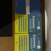 Gli spilli economia aziendale